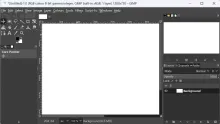 Gimp